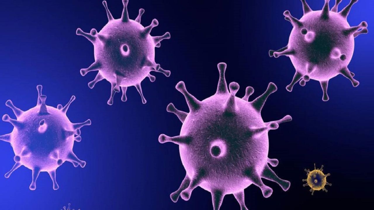 میزان سرایت‌ پذیری کرونا چقدر است؟