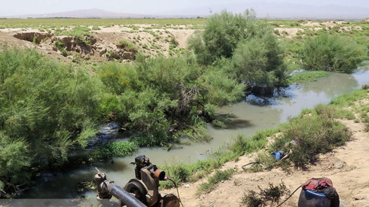 جای خالی معرفت عمومی درباره حفظ محیط زیست حس می‌شود