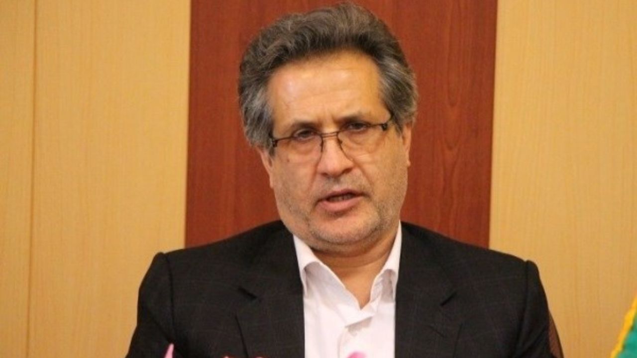 نگاه معیشتی به «درختان» جنگل‌ها را نابود می‌کند