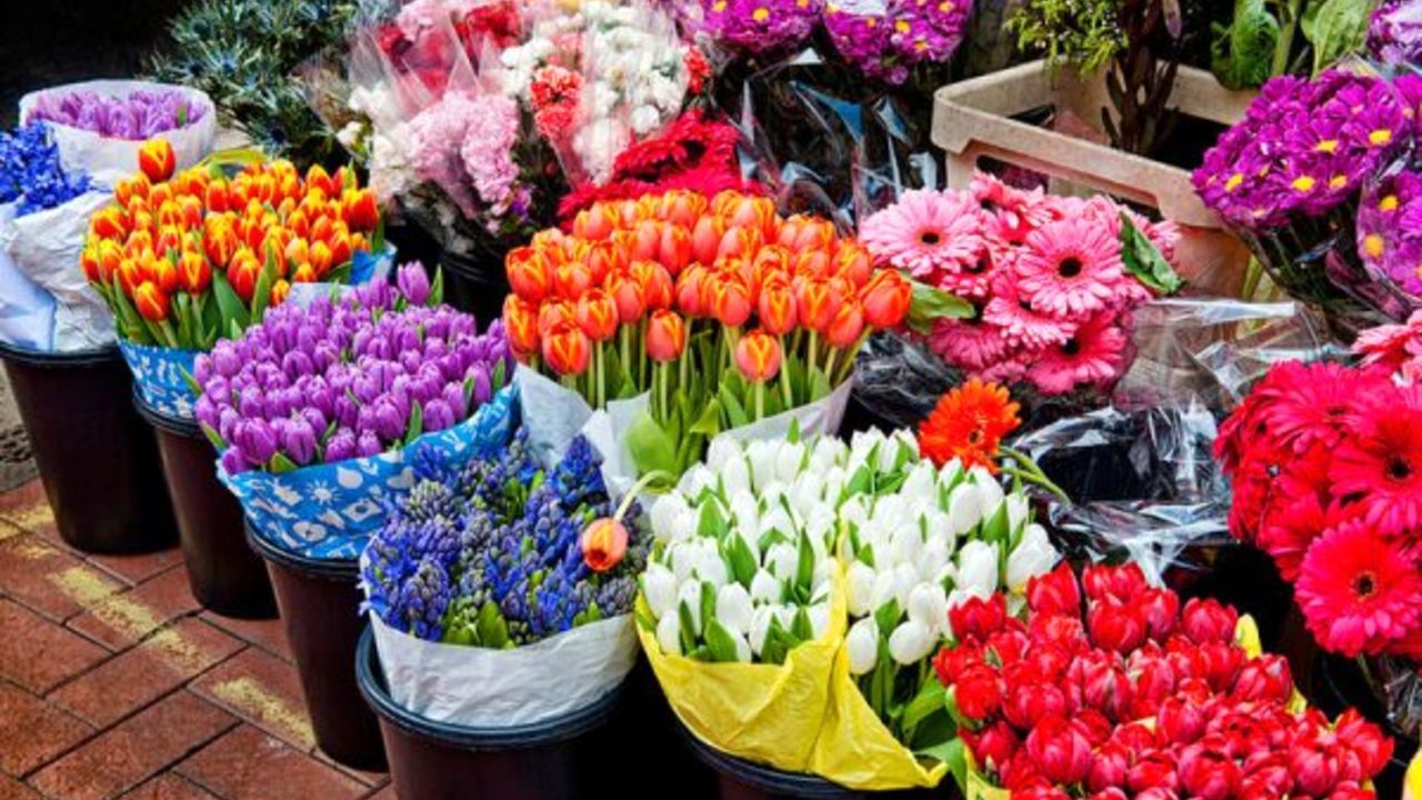 کاهش 50 درصدی قیمت گل در نوروز