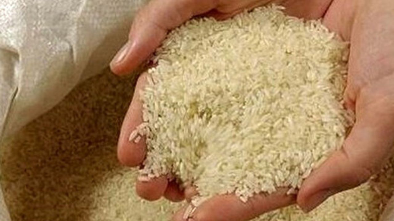 قیمت کیفی‌ترین برنج داخلی نباید بیشتر از 20 هزار تومان باشد/ بهاری بدون شوک قیمتی پیش رو داریم