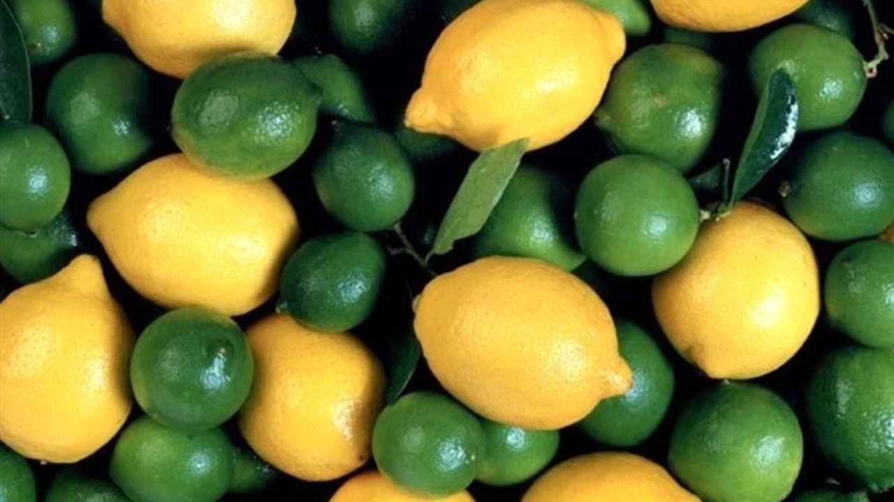 صادرات لیموشیرین و لیموترش ممنوع شد