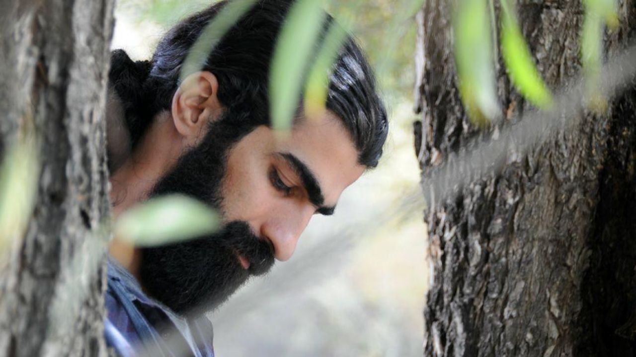 چقدر می‌گیری چاوشی را بزنی؟