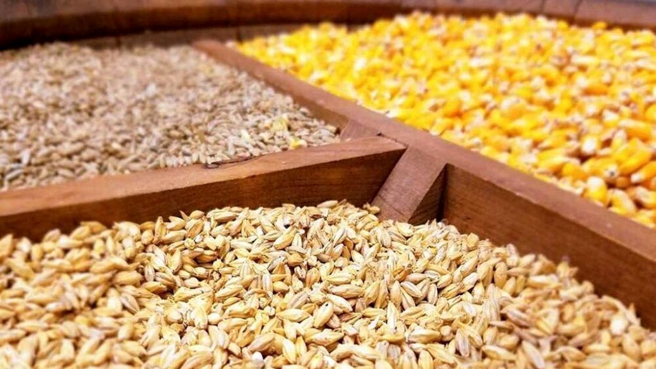 واردات نهاده های دام و طیور رشد 16 درصدی را تجربه کرد