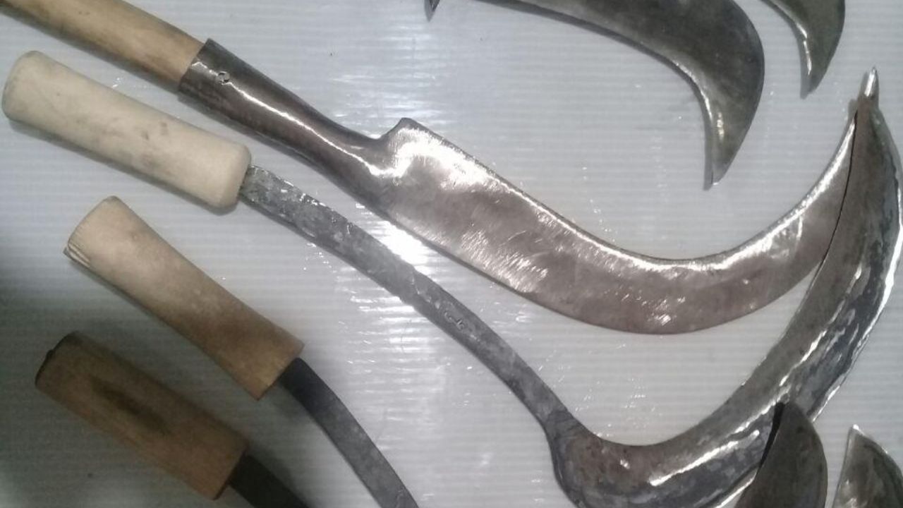 داس کشاورزی چگونه نماد قتل و مرگ شد+عکس