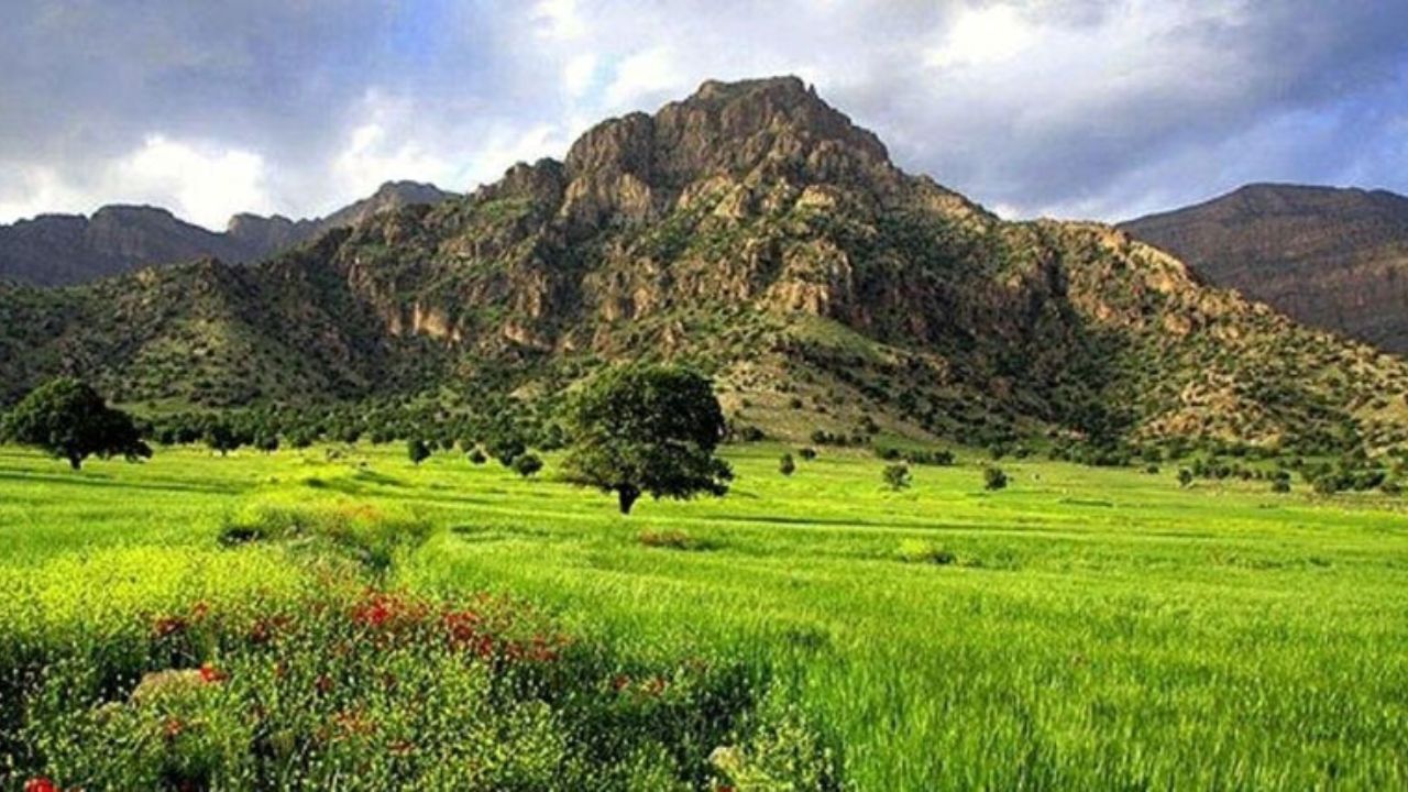 جاده‌کشی در کوه «الوند» بدون مجوز است