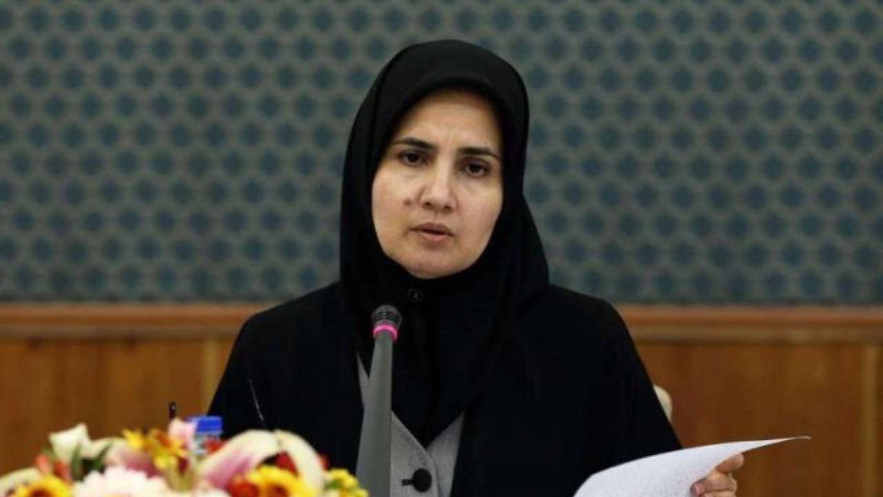 تدوین طرحی حقوقی برای تبعات ویروس کرونا