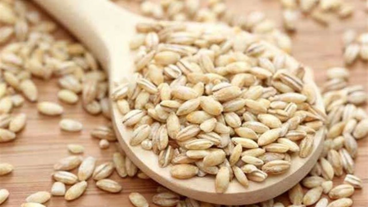 قیمت عرضه جو وارداتی 1500 تومان شد