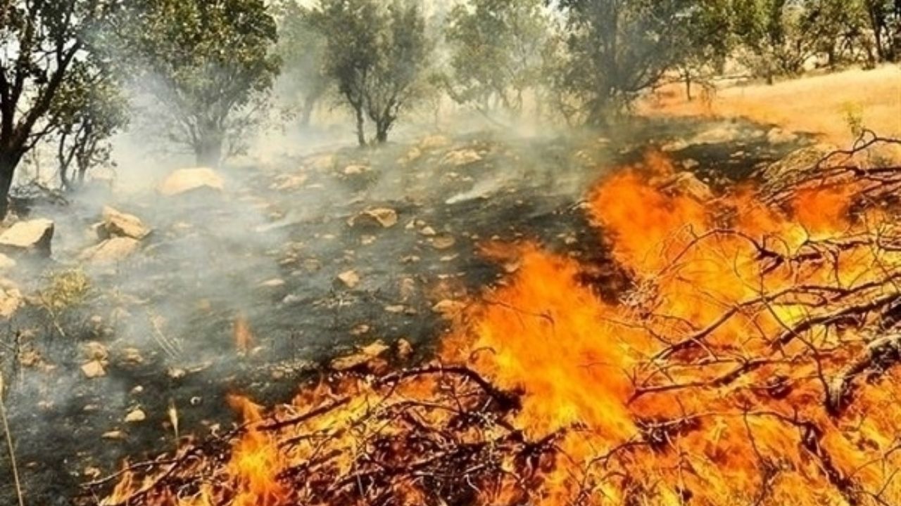 فرسایش هر 1 سانتیمتر خاک برای احیاء به 500 تا 1000 سال زمان نیاز دارد