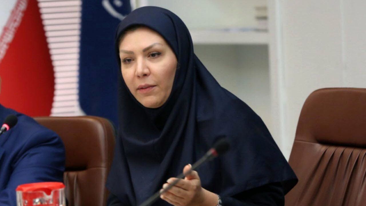 افزایش سهم صندوق ضمانت صادرات در صدور کالا از کشور به 3.3 میلیارد دلار