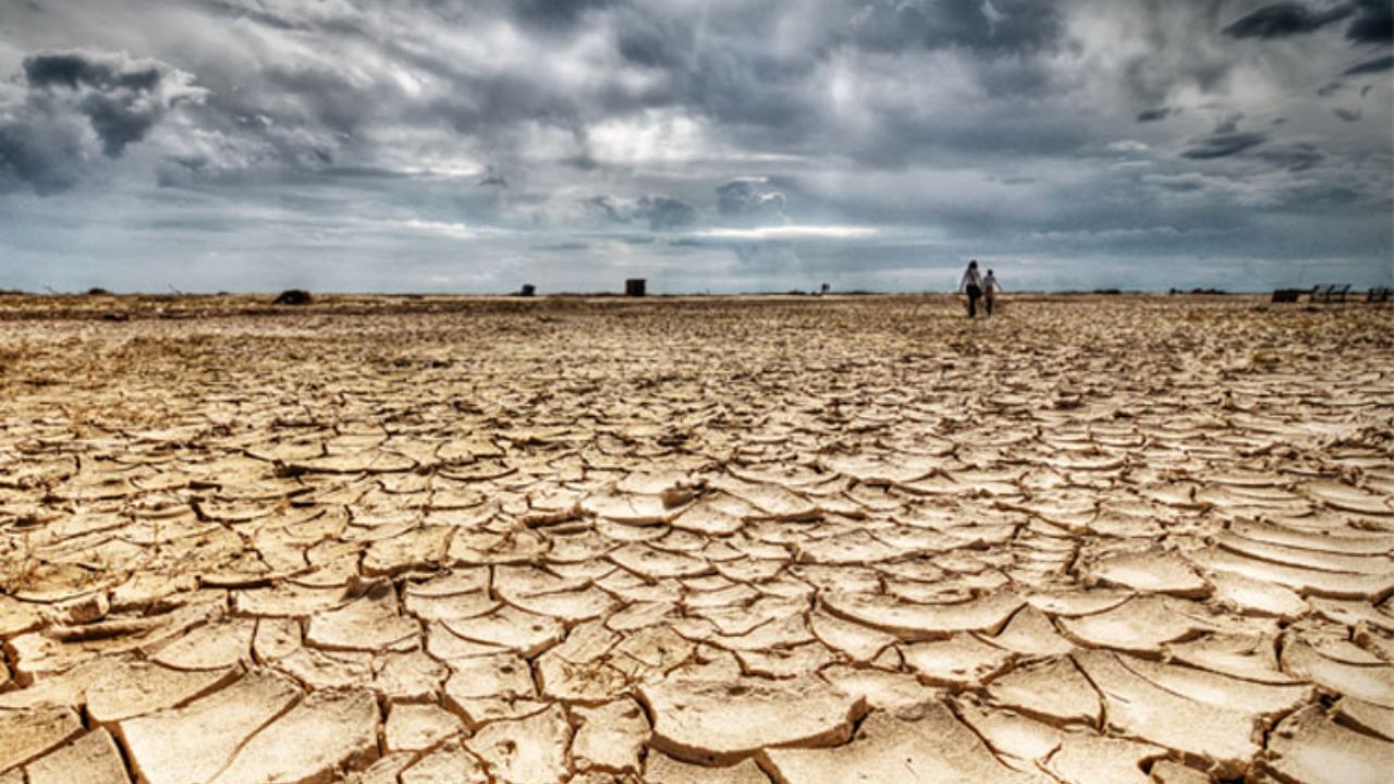 چگونه با بیابان‌زایی مقابله کنیم؟
