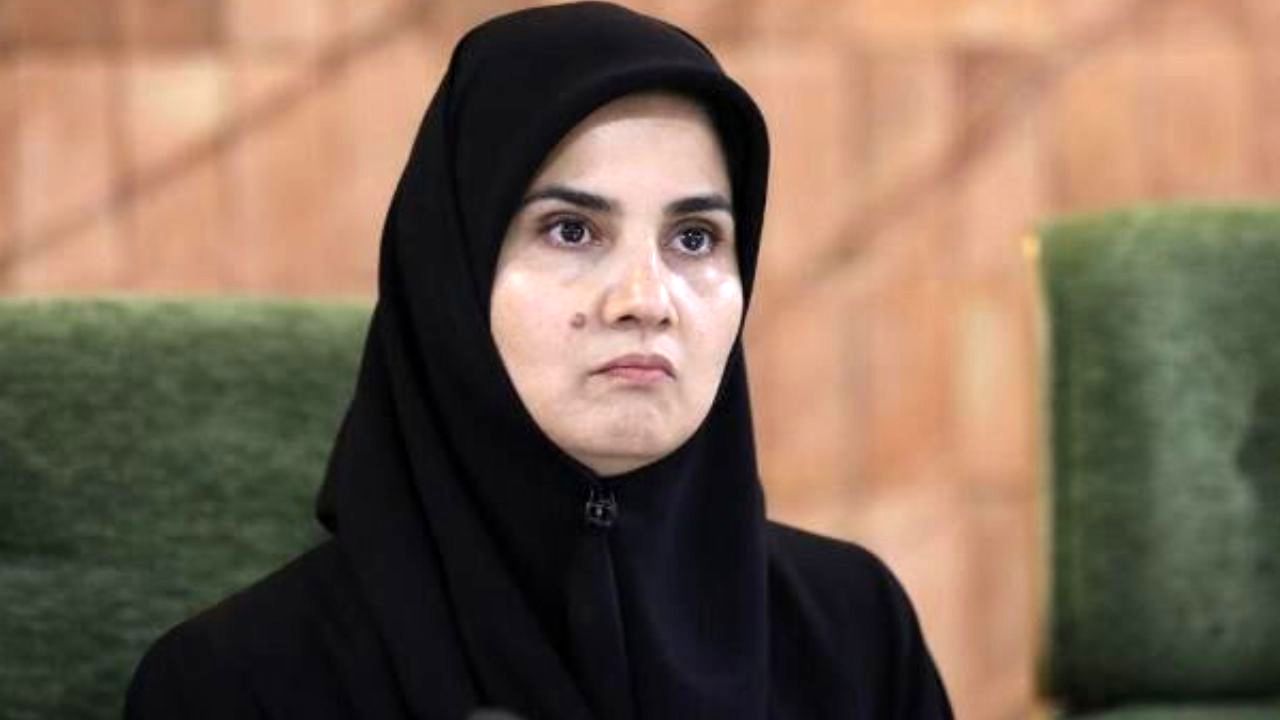 مزاحمت برای هواپیمای مسافربری در کشور ثالث، نقض امنیت هوانوردی است/ پیگیری حقوقی انجام می‌شود؟