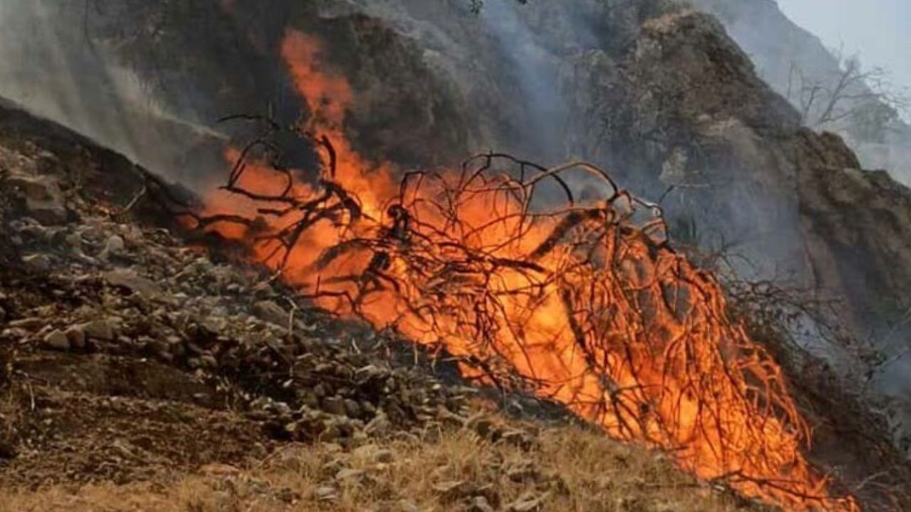 آتش‌سوزی گسترده در ارتفاعات مهارلو