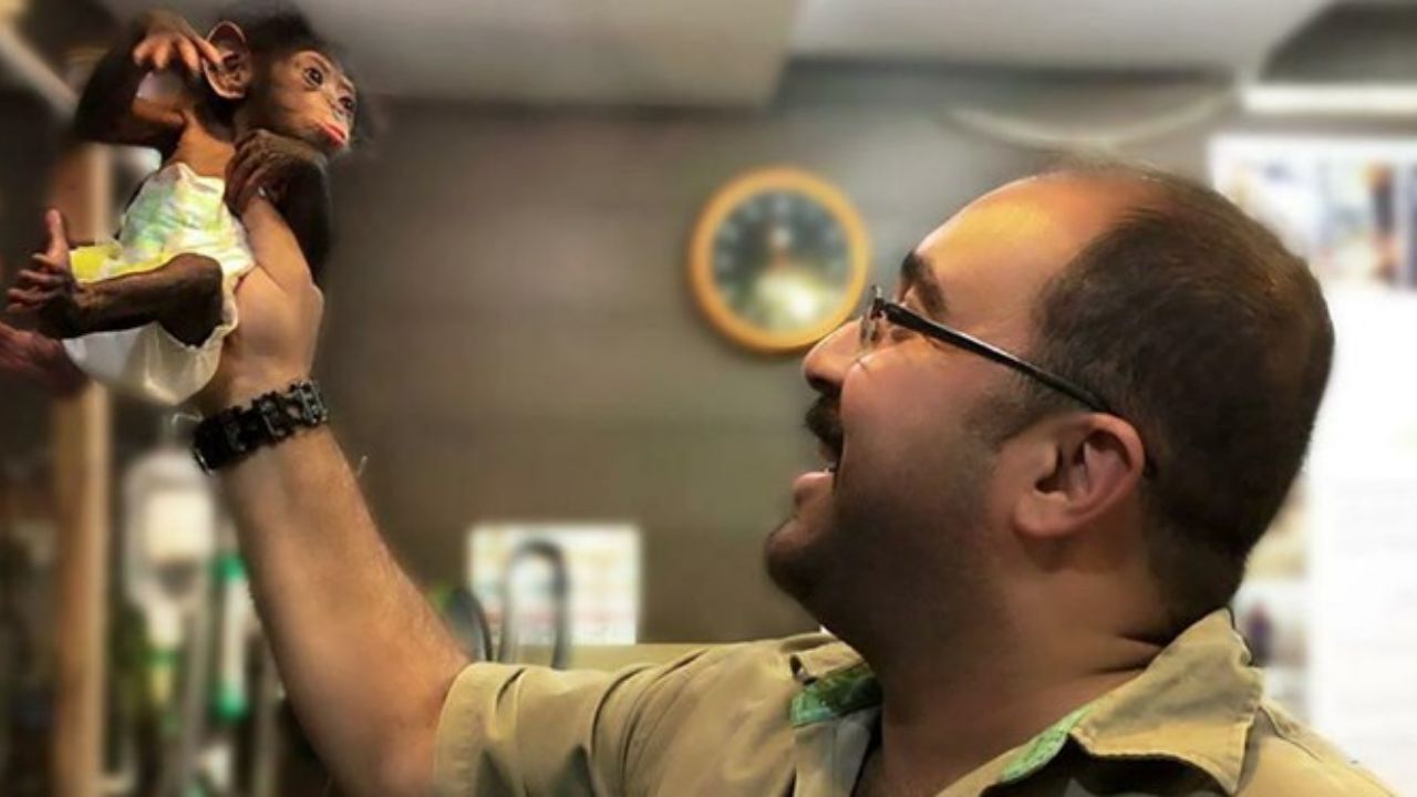 باران در ارم ماندنی شد