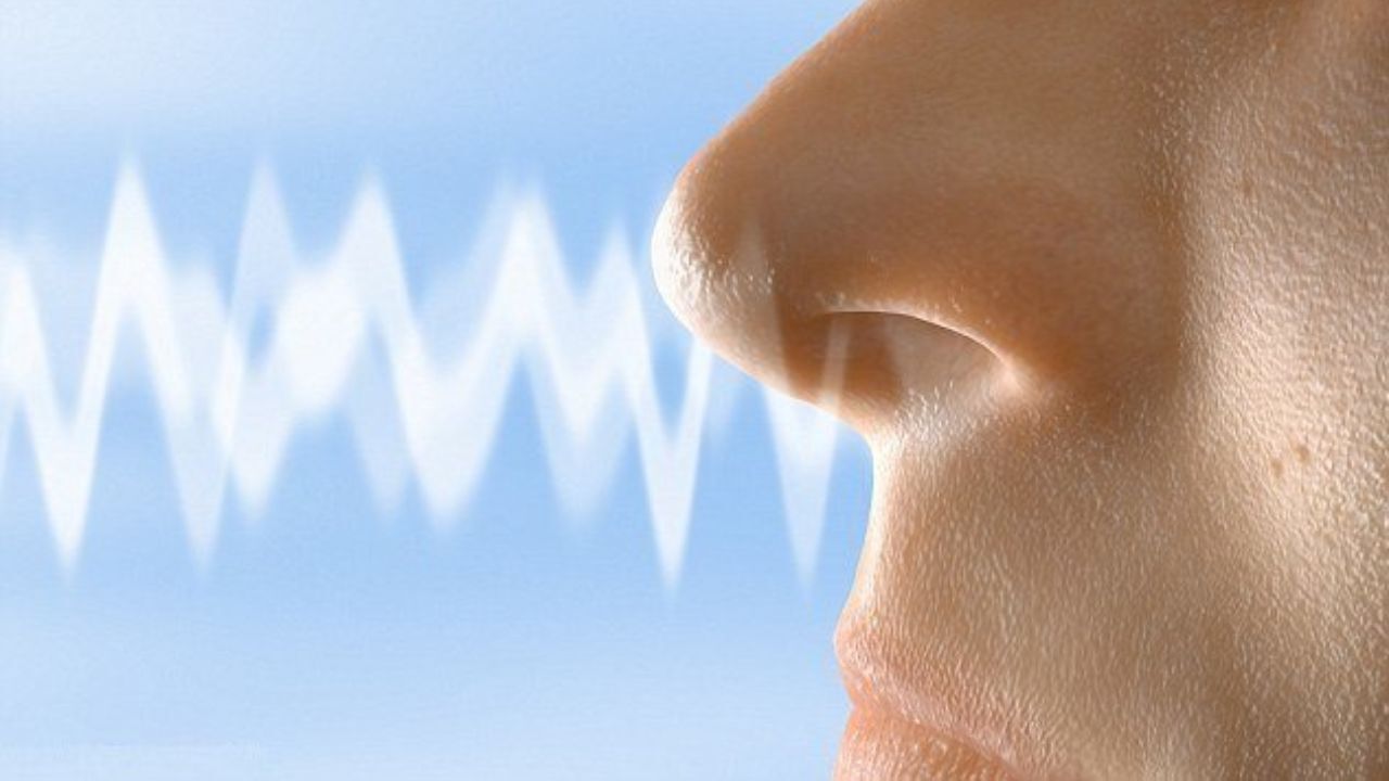 چرا مبتلایان به کووید 19 بویایی خود را از دست می‌دهند؟