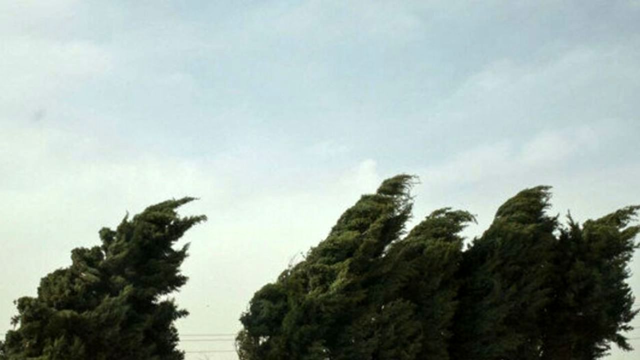 بارش باران و وزش باد شدید در برخی استان های کشور