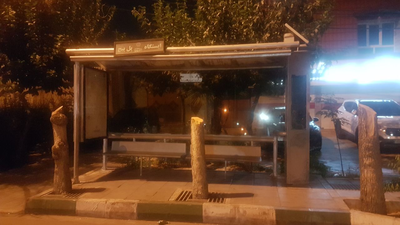جای درختانی که به علت خشکیدگی قطع شده بودند، با سیمان پُر شد