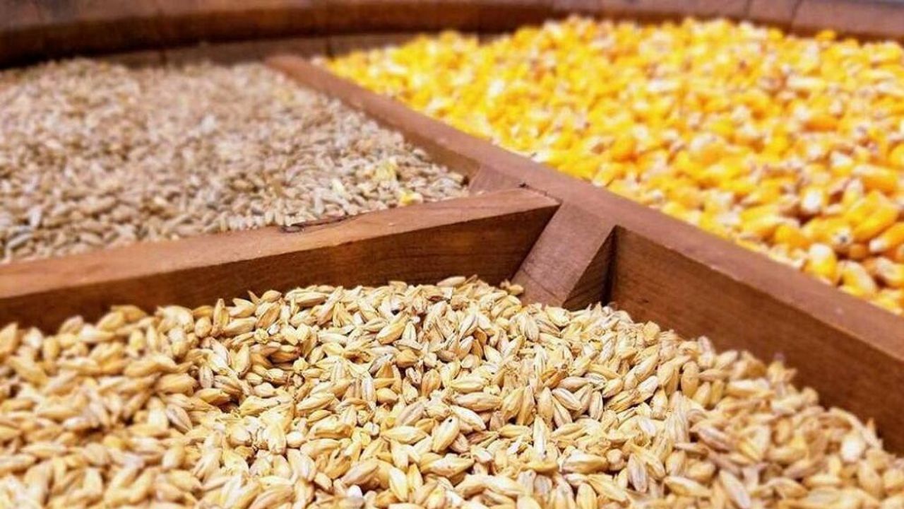 مرغداران 70 درصد نهاده را به نرخ آزاد و چند برابر قیمت تهیه می‌کنند