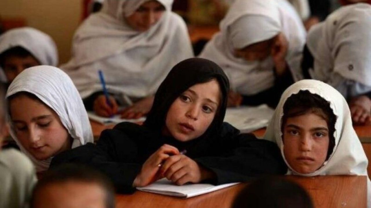 تا دیر نشده به فکر 3 میلیون و 499 دانش‌آموز دیگر باشید