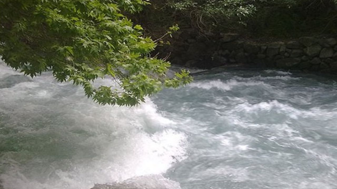 فرش قرمز مرگ زیر پای رودخانه کرج