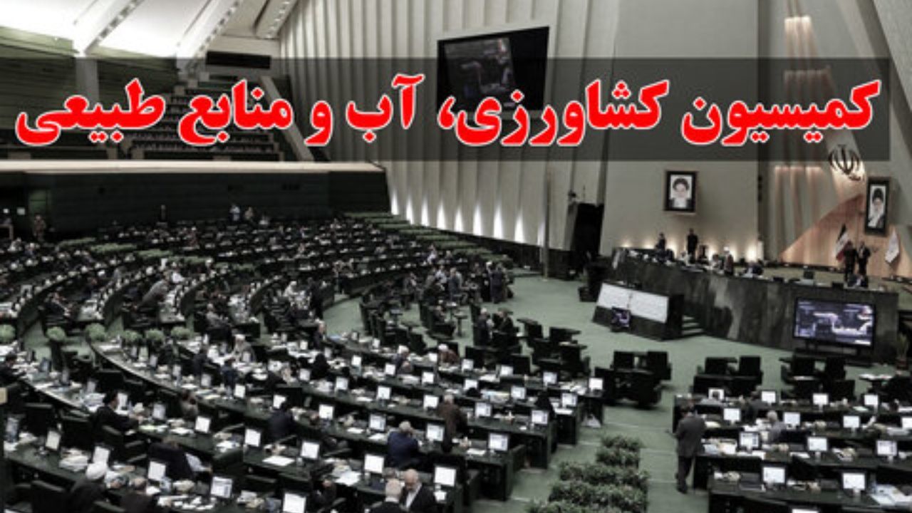 «رزم‌حسینی» و «خاوازی» برای توضیح درباره علت گرانی مرغ به مجلس نرفتند