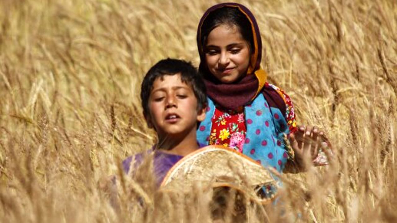 مستند ایرانی برگزیده جشنواره المپیای یونان شد