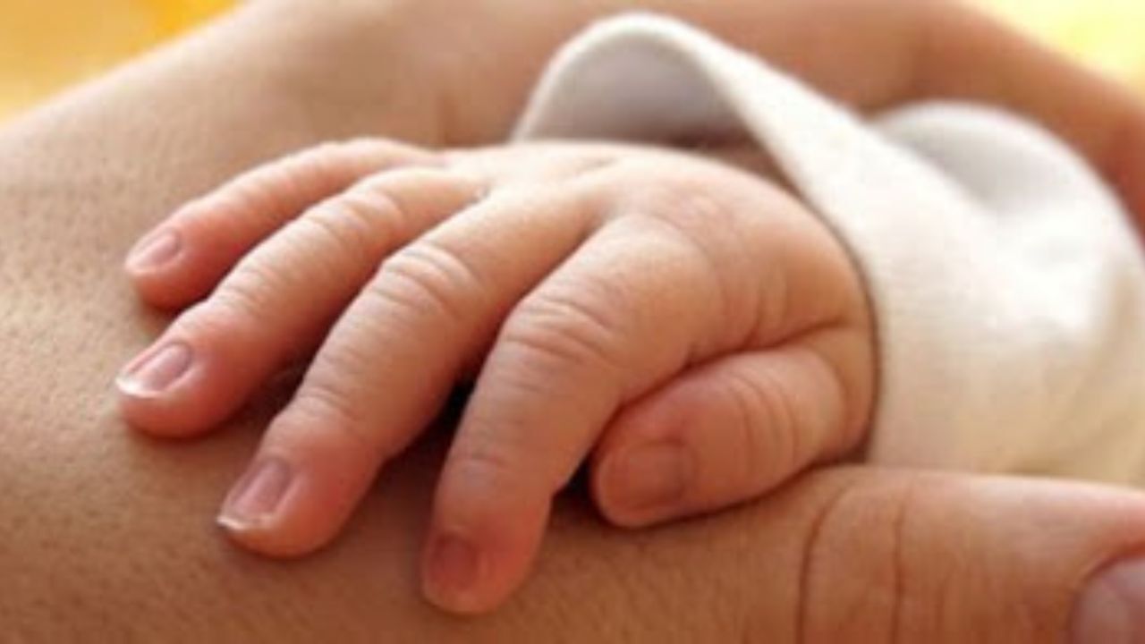 بدون حضور فیزیکی، مدارک درخواست فرزندخواندگی را ارائه دهید
