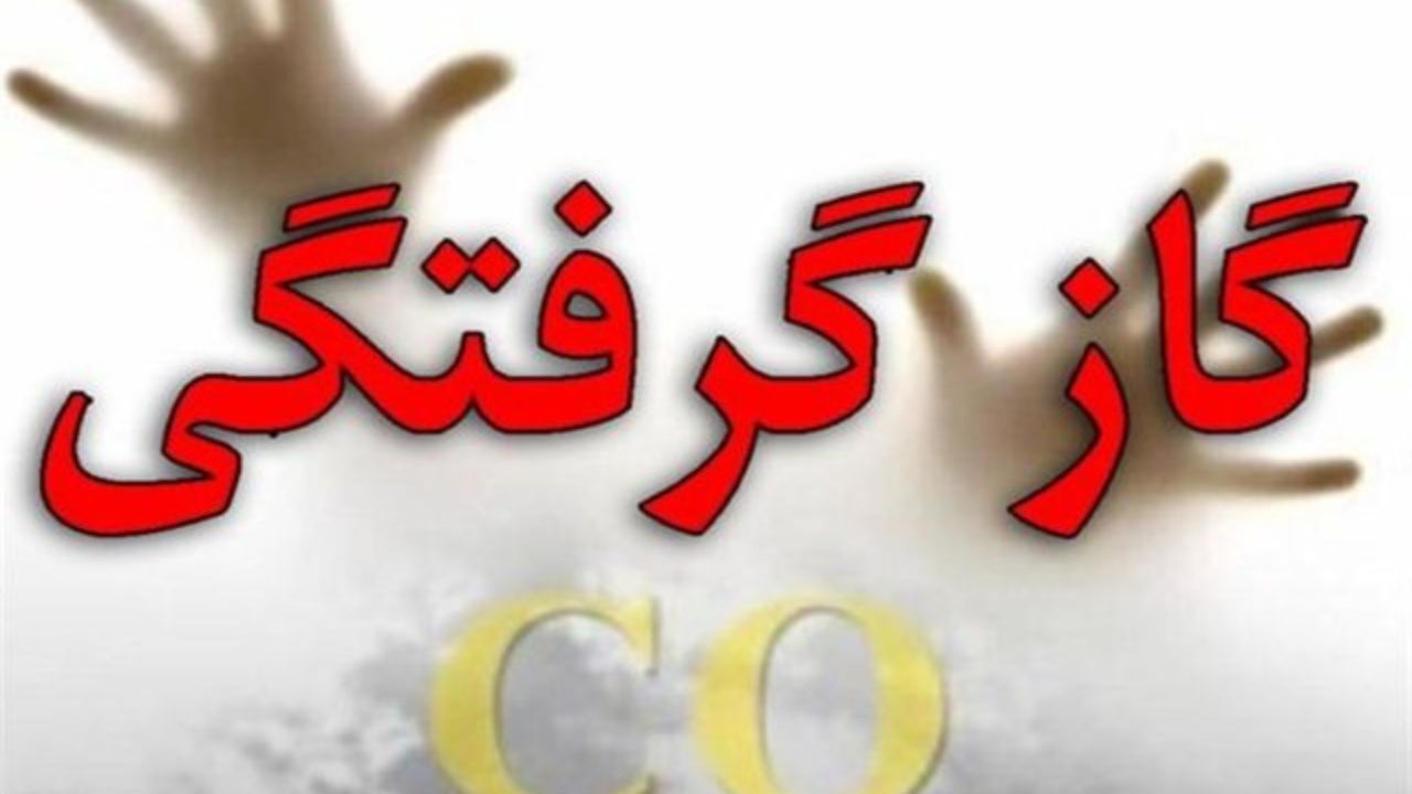 مرگ 91 تهرانی در 9 ماه اخیر به خاطر گازگرفتگی