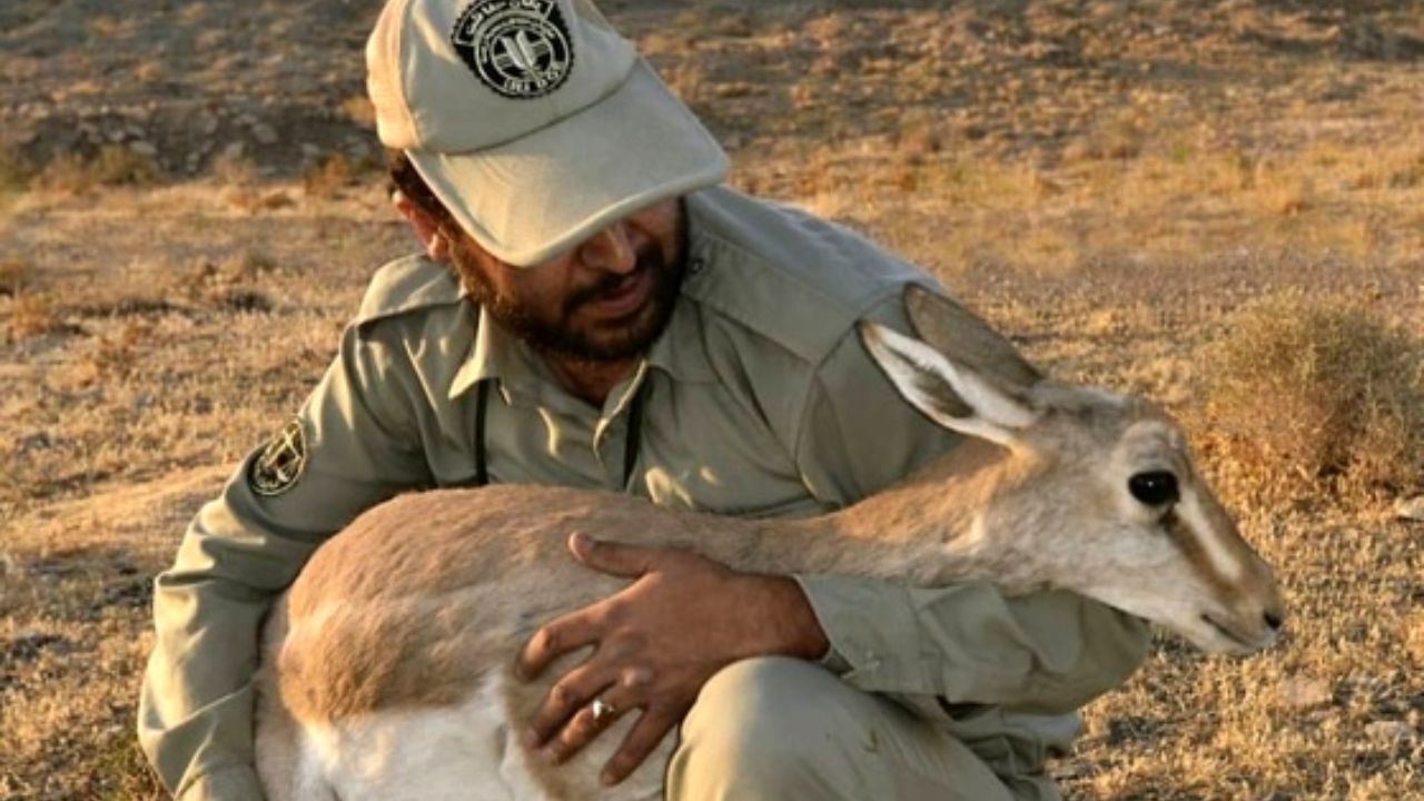 99، سال سیاه محیط‌بانان
