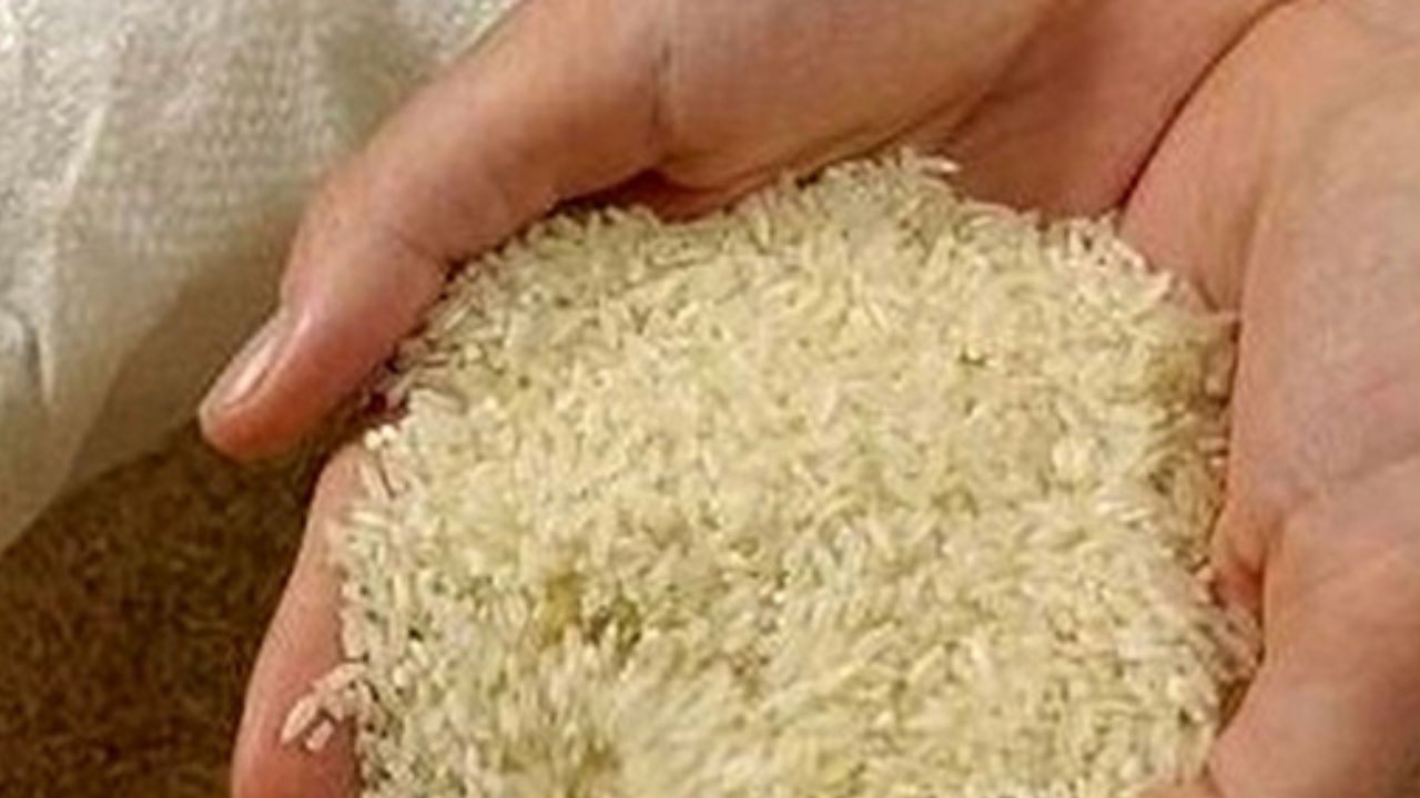 پیشنهاد تهاتر برنج پاکستانی با برق قابل اجرا نیست
