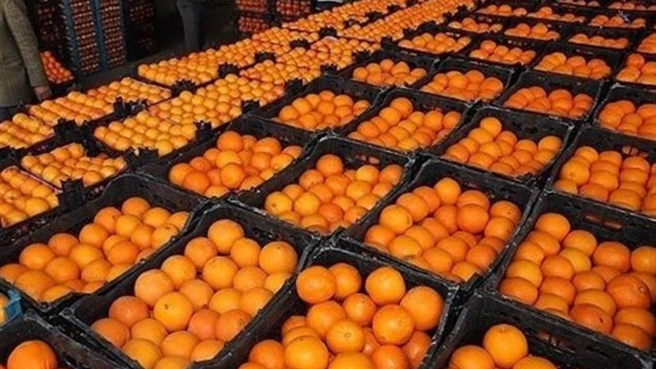میوه‌های تنظیم بازاری معدوم می‌شوند