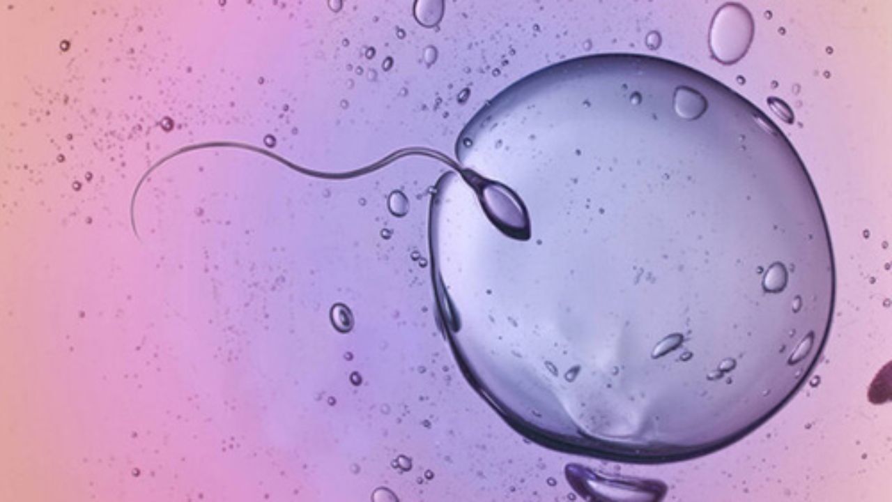 تاثیر مواد شیمیایی محیط بر تعداد اسپرم‌ها