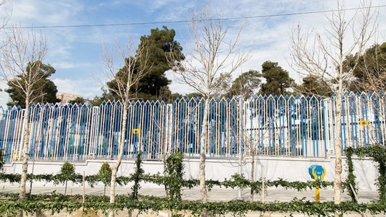 کاشت 3500 درخت «چنار» کهنسال در خیابان ولیعصر
