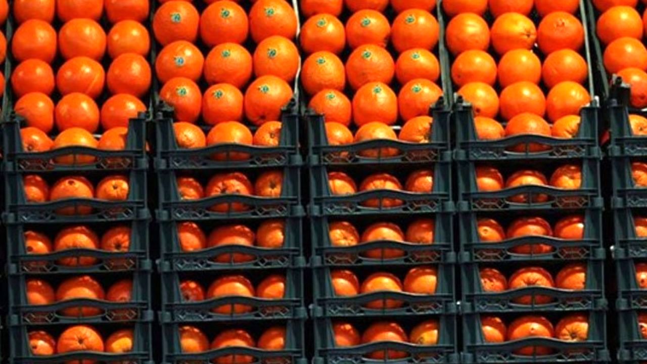 مرکبات برای نوروز 1400 در سراسر کشور توزیع می شود