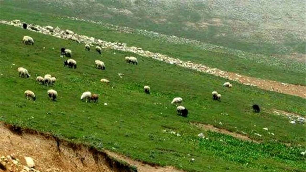 برخورد با متخلفان چرای غیر مجاز در منطقه حفاظت شده البرز جنوبی