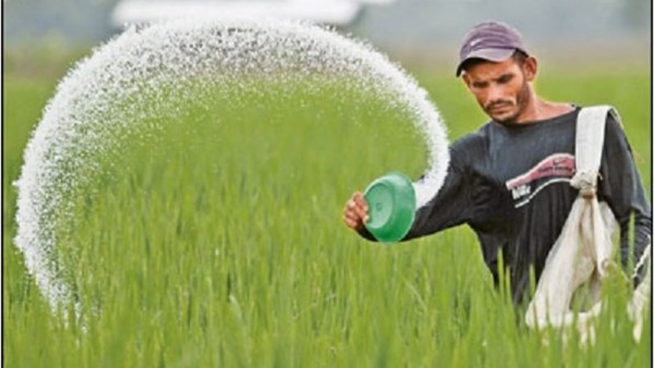 رئیس جمهور آینده چه وظیفه ای در بخش کشاورزی دارد؟