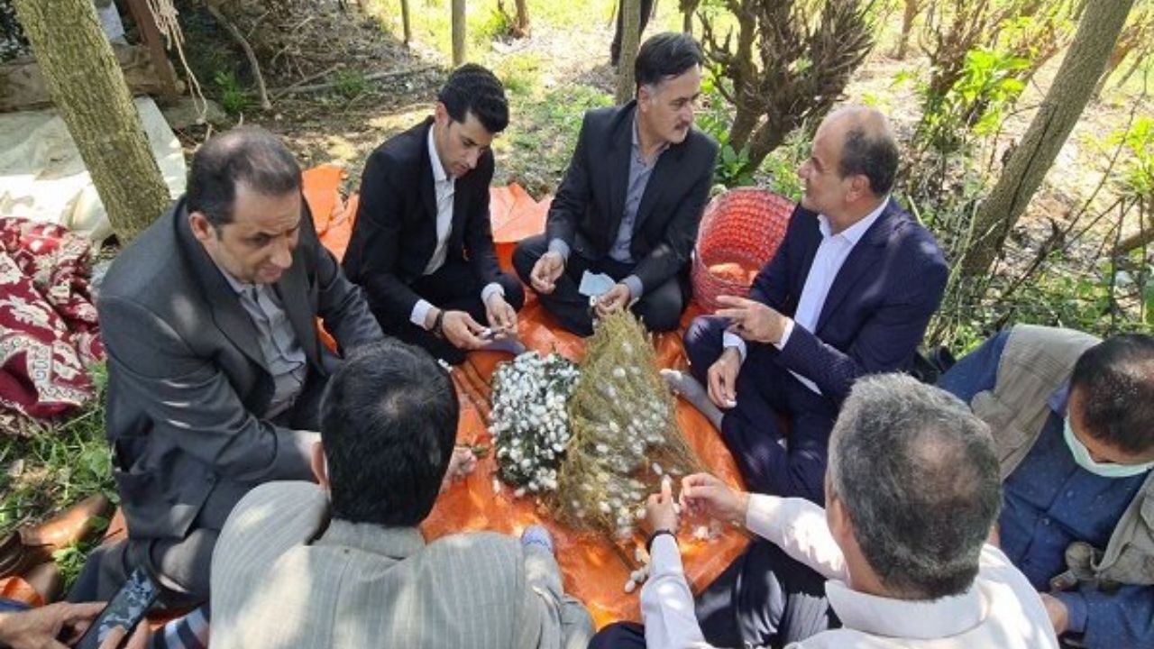 گیلان یک سوم تولید پیله ابریشم ایران را بر عهده دارد