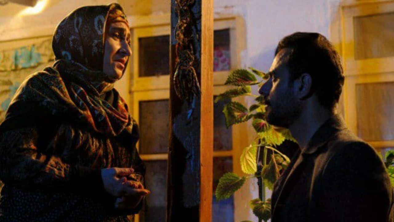 «مرغابی وحشی» در یک قدمی جایزه جشنواره فیلم های نوظهور کانادا