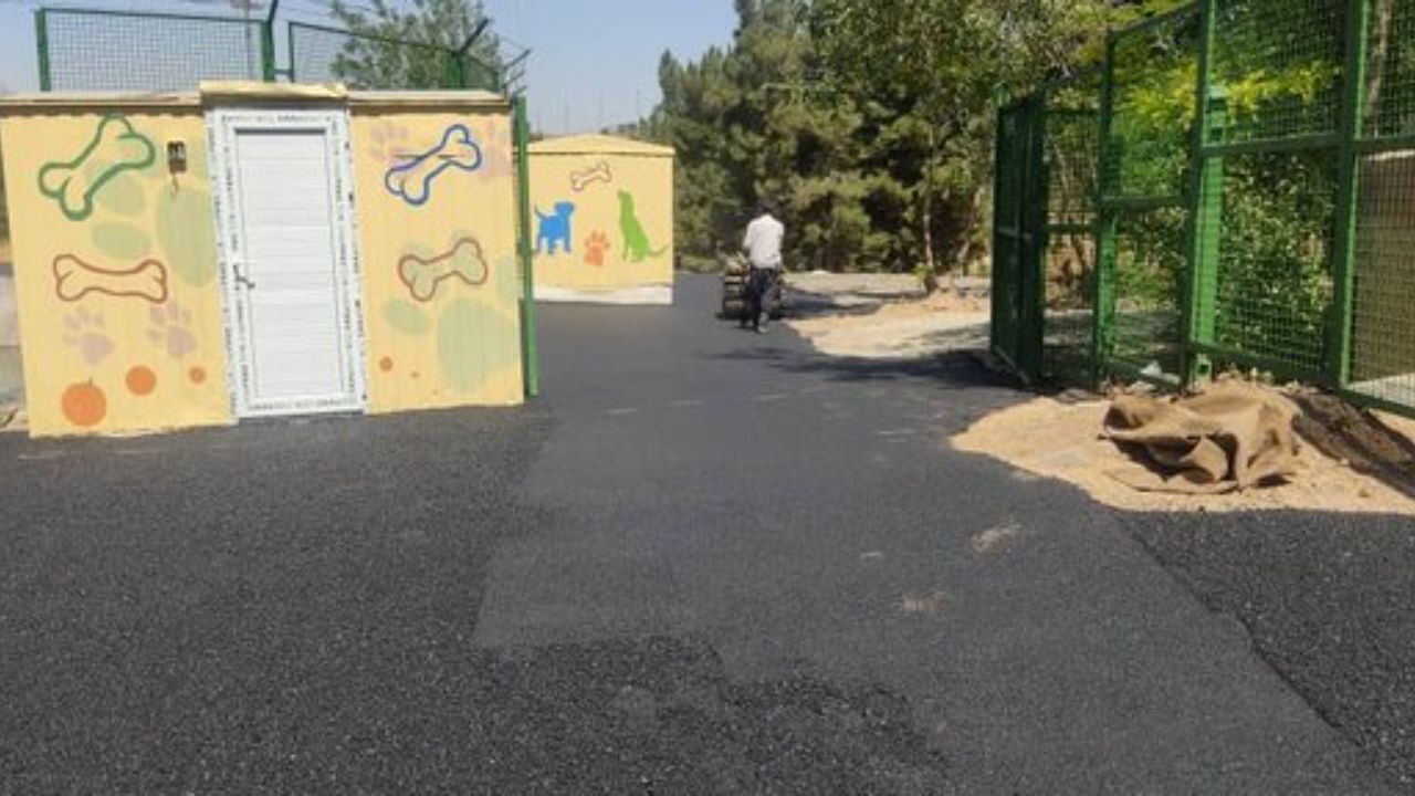 پاسخ به چرایی معضل غذا دادن انسان به حیوانات در مستند «موذی»