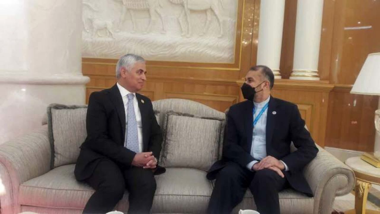 دیدار امیرعبداللهیان با دبیرکل سازمان همکاری اقتصادی