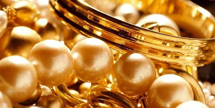 دزدی از خانه پیرزن، پسر جوان را گرفتار کرد