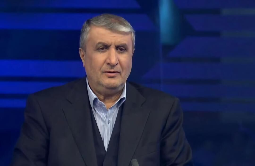 محمد اسلامی: حمله به نطنز تروریستی بود/ نشت پرتویی نداشتیم