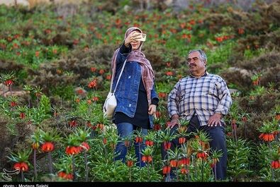 دشت لاله‌های واژگون اصفهان