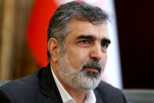 سخنگوی سازمان انرژی اتمی: ایران گزینه‌های زیادی برای دفاع از خود دارد / فارغ از اینکه آنها چه میزان فشار بر ما وارد کنند، ما بر این وضعیت غلبه خواهیم کرد