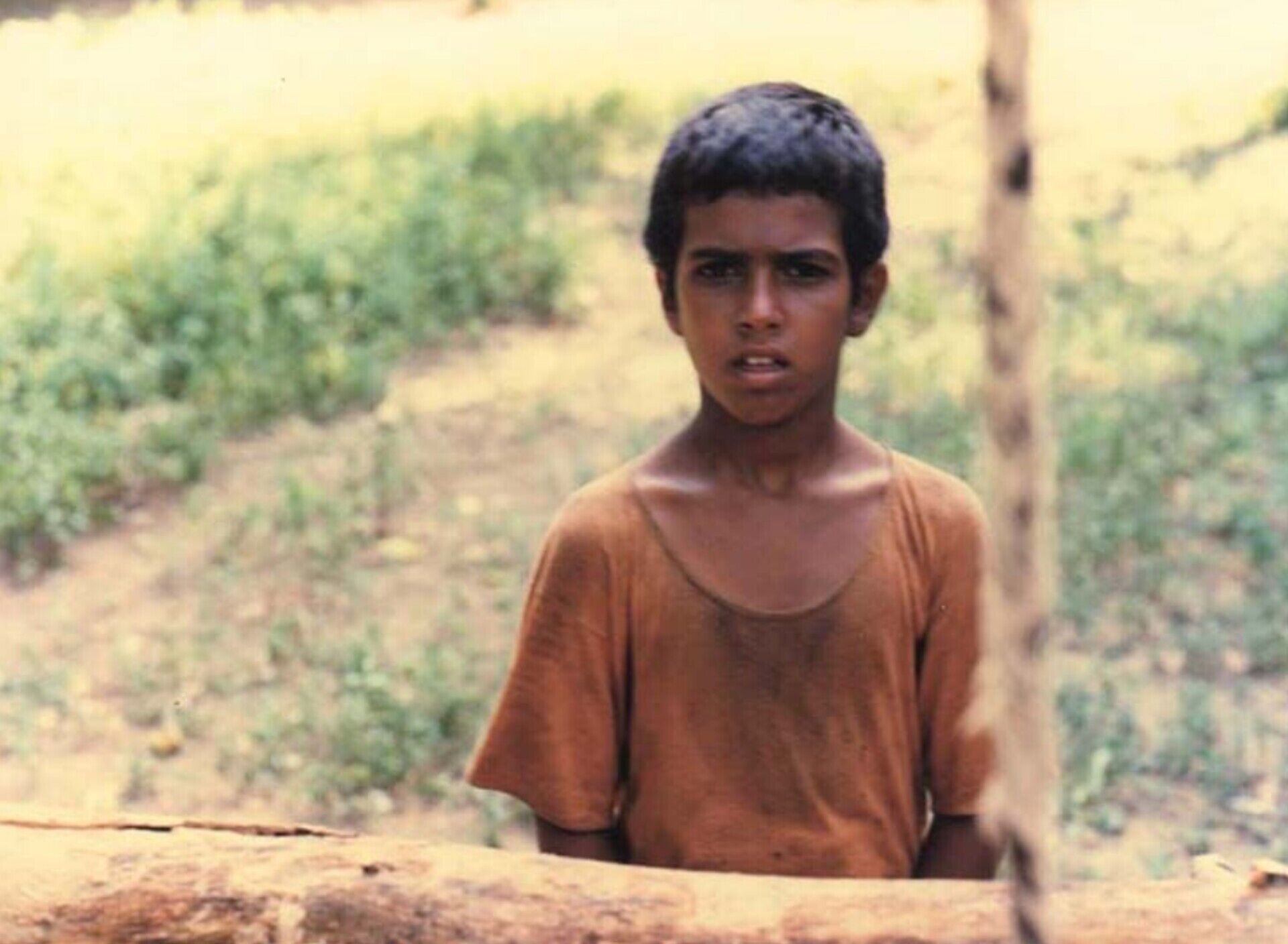 فیلم سینمایی «باشو غریبه کوچک» جایزه بهترین فیلم مرمت‌ شد
