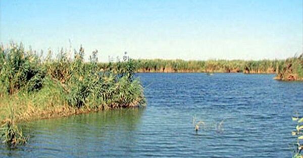 درخواست توقف خشکاندن تالاب هورالعظیم به بهانه استخراج نفت