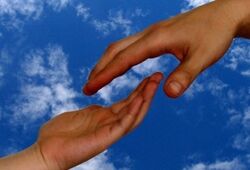 بخشش قاتل؛ پایان پرونده قتل در دعوا به خاطر حقابه