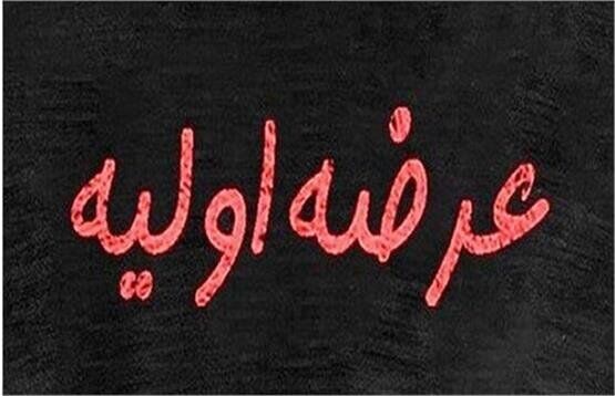 عرضه اولیه مهرگان بخریم یا نخریم؟