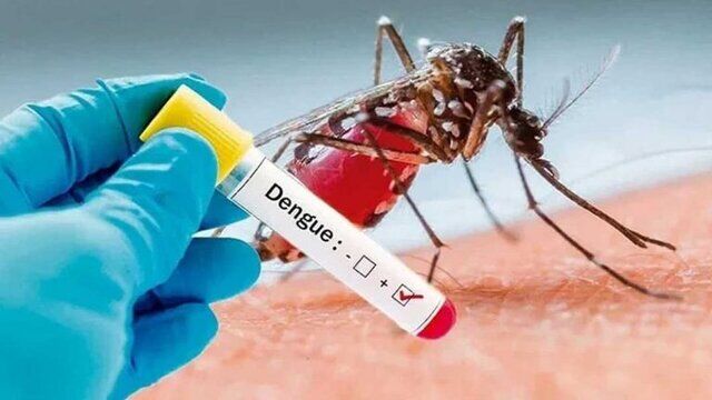 چند نفر در کشور به تب دنگی مبتلا شدند؟