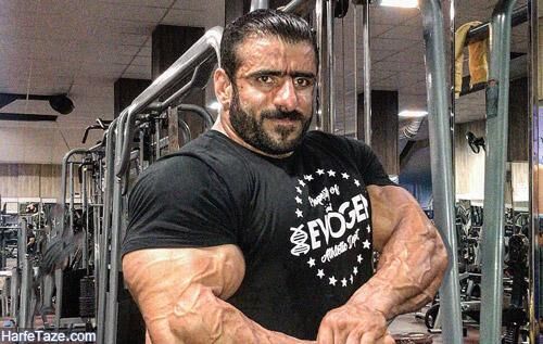 طعنه گرگ ایرانی به هالک پوشالی